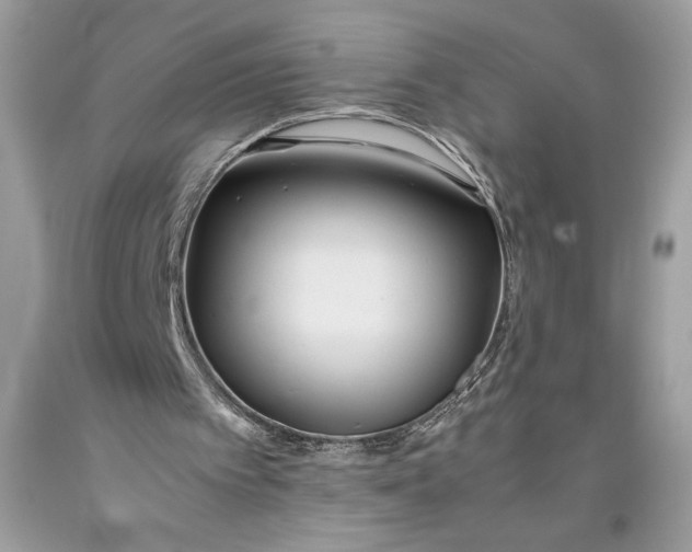 X0000093510097200710261206