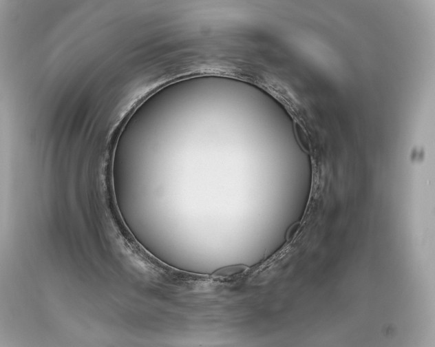 X0000093510098200710261206