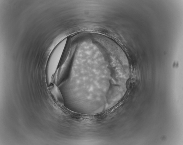 X0000093510099200710261206