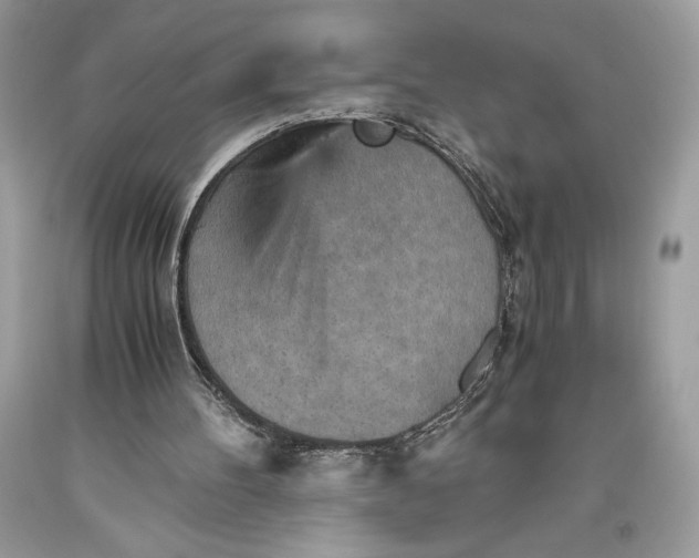 X0000093510100200710261206