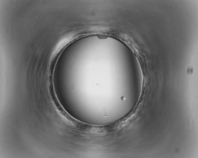 X0000093510101200710261206