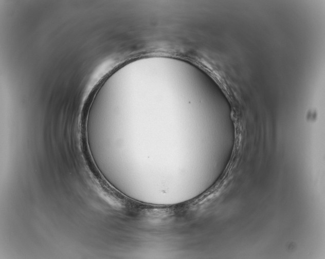 X0000093510102200710261206