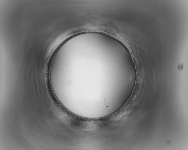 X0000093510103200710261206