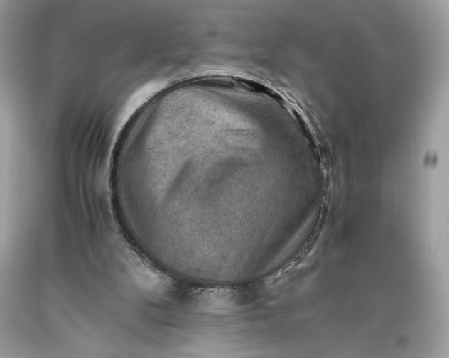 X0000093510104200710261206