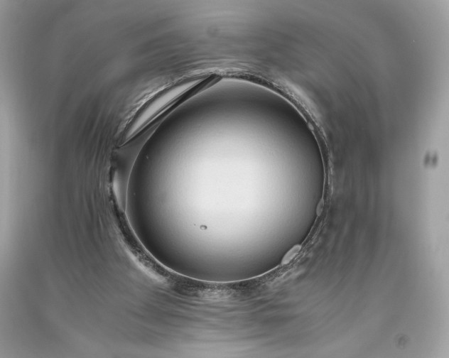 X0000093510105200710261206