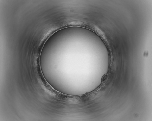 X0000093510106200710261206