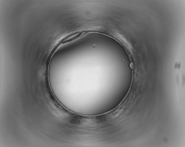 X0000093510107200710261206