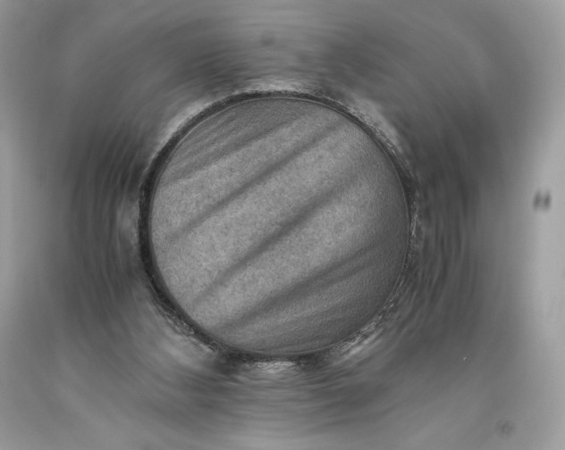 X0000093510108200710261206