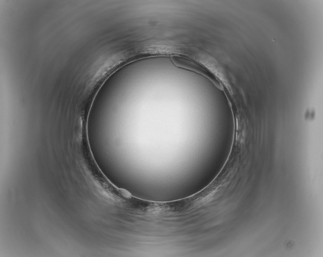 X0000093510109200710261206