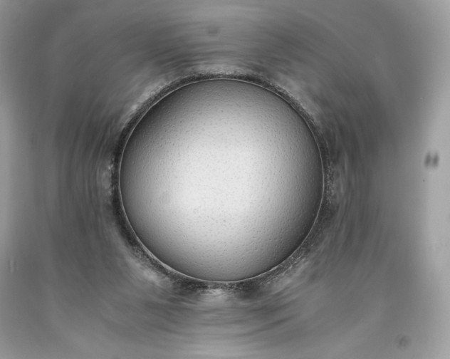 X0000093510111200710261206