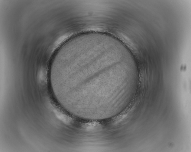 X0000093510112200710261206