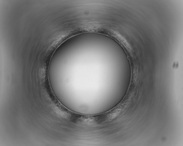 X0000093510113200710261206