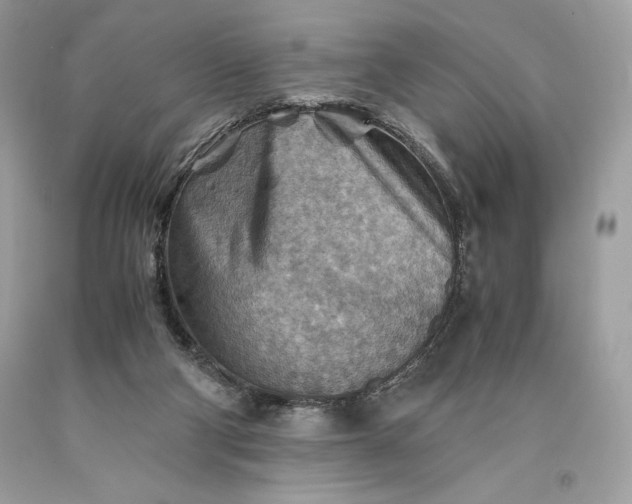 X0000093510114200710261206