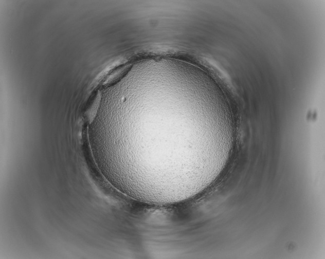 X0000093510115200710261206