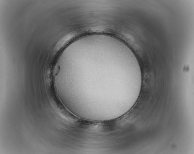 X0000093510116200710261206