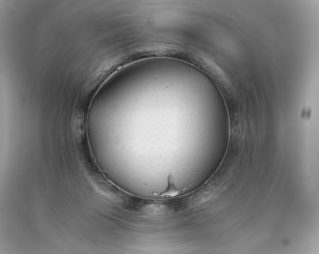 X0000093510119200710261206