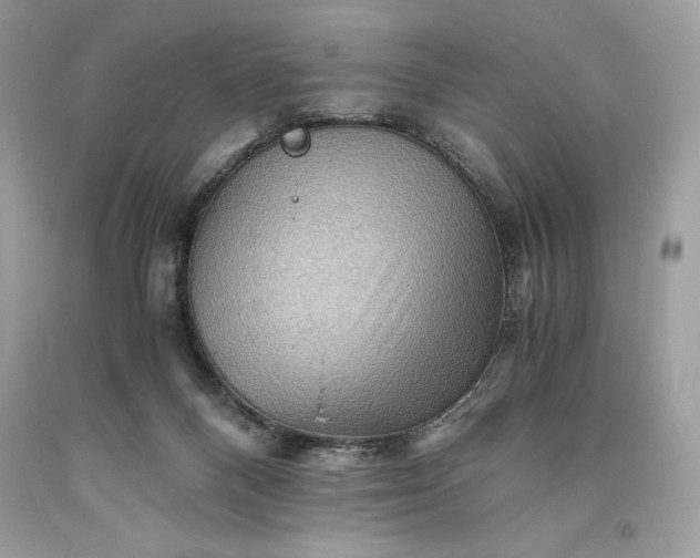 X0000093510120200710261206