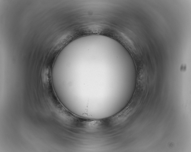 X0000093510122200710261206