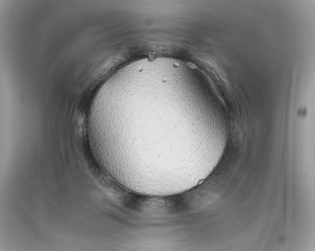 X0000093510123200710261206