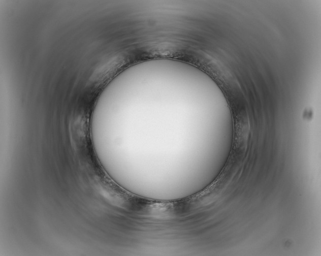 X0000093510126200710261206