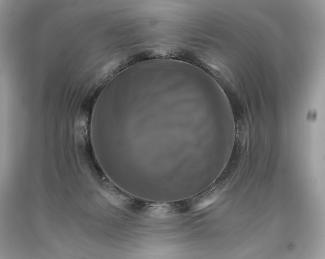 X0000093510127200710261206