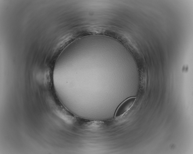 X0000093510128200710261206