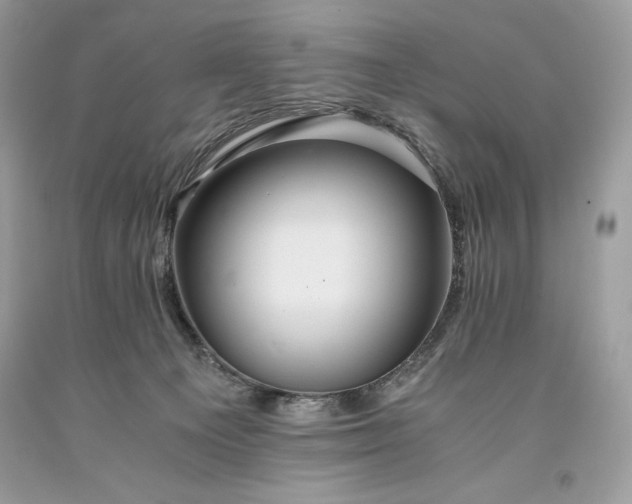 X0000093510129200710261206