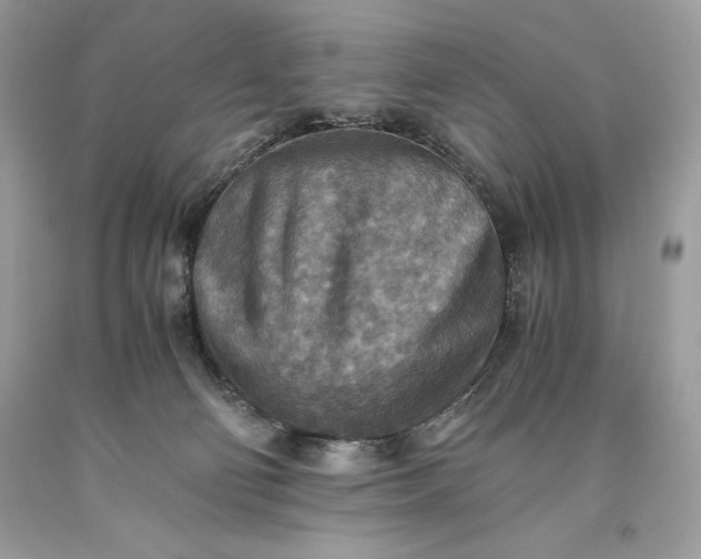 X0000093510130200710261206