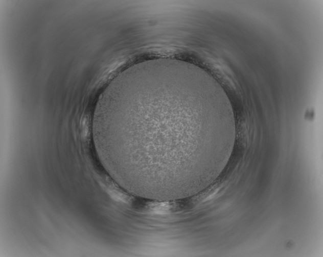 X0000093510131200710261206