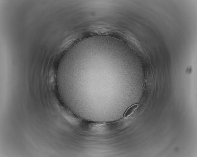 X0000093510132200710261206