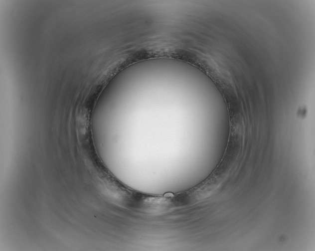 X0000093510133200710261206