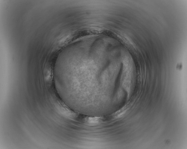 X0000093510134200710261206