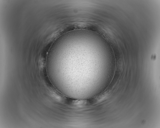 X0000093510135200710261206