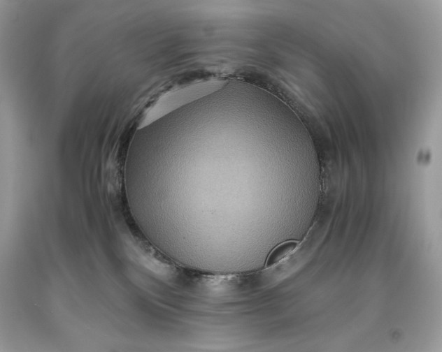 X0000093510136200710261206