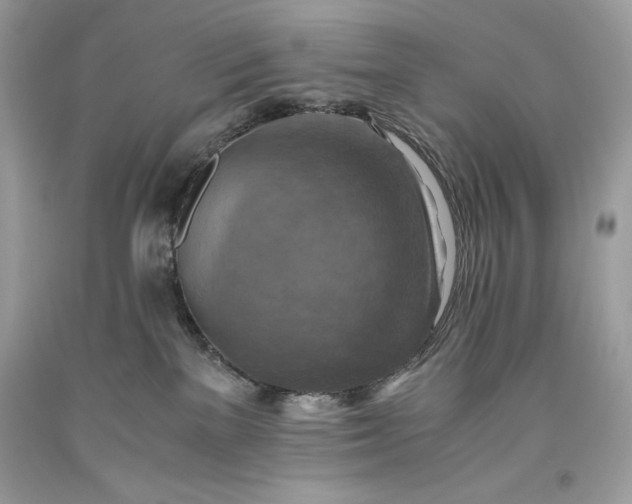 X0000093510137200710261206