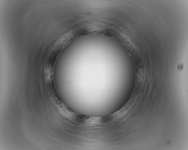 X0000093510138200710261206