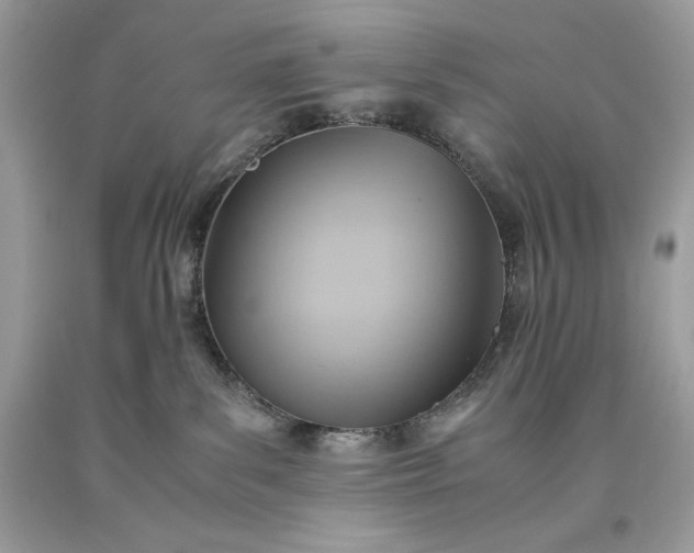 X0000093510139200710261206