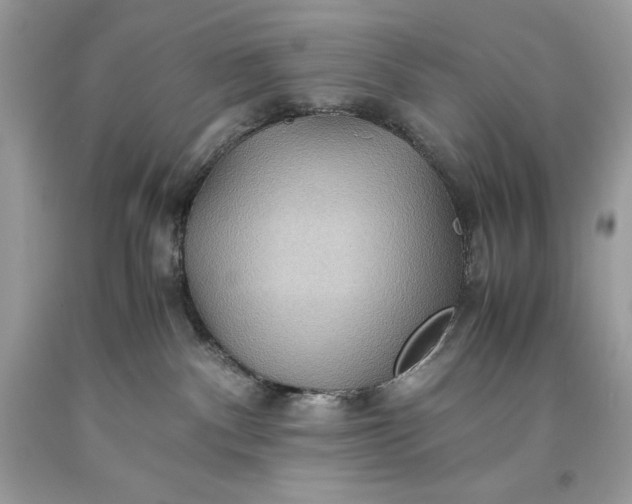 X0000093510140200710261206