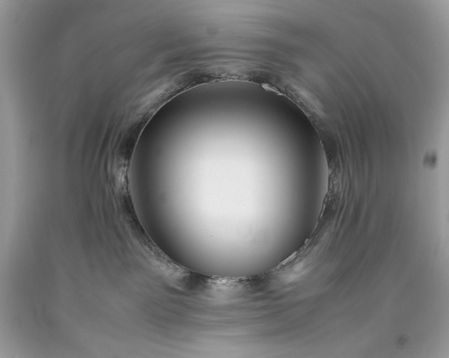 X0000093510141200710261206