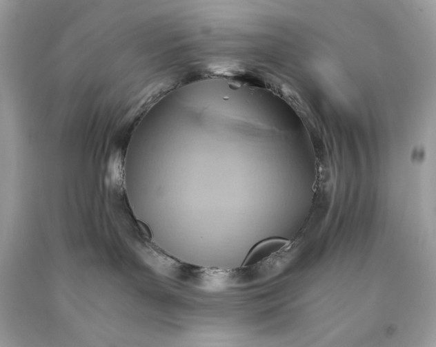 X0000093510143200710261206