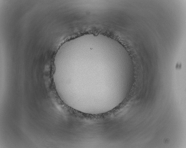 X0000093510144200710261206