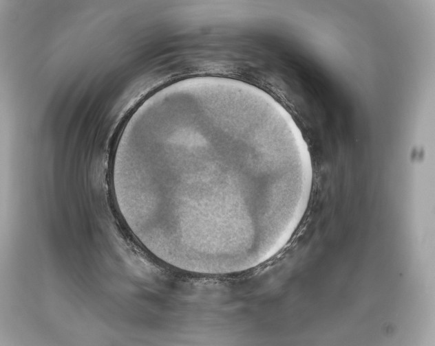 X0000093510146200710261205