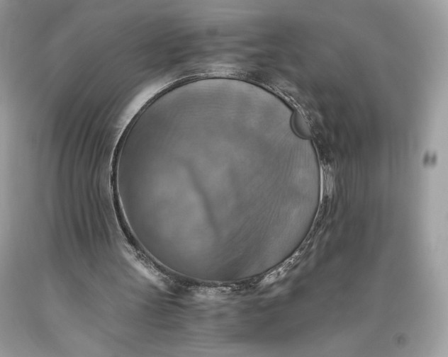 X0000093510147200710261205