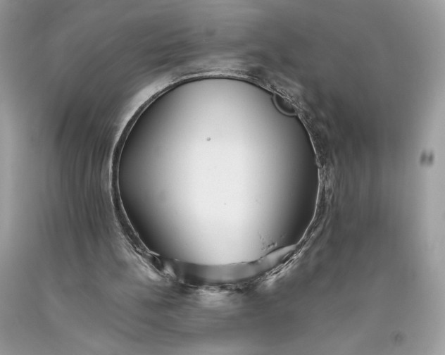 X0000093510148200710261205