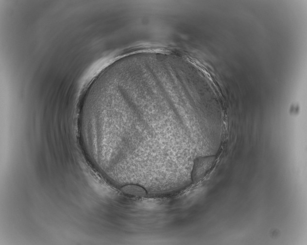 X0000093510149200710261205