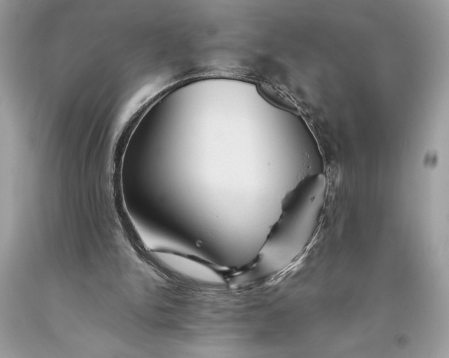 X0000093510150200710261205