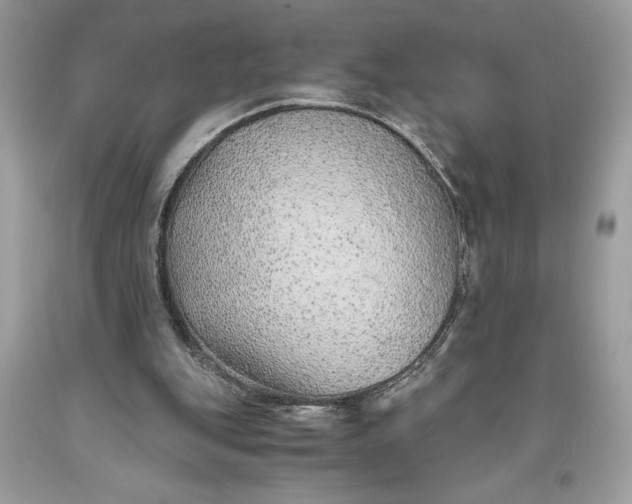 X0000093510151200710261205