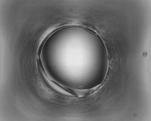 X0000093510152200710261205