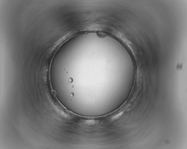 X0000093510153200710261205