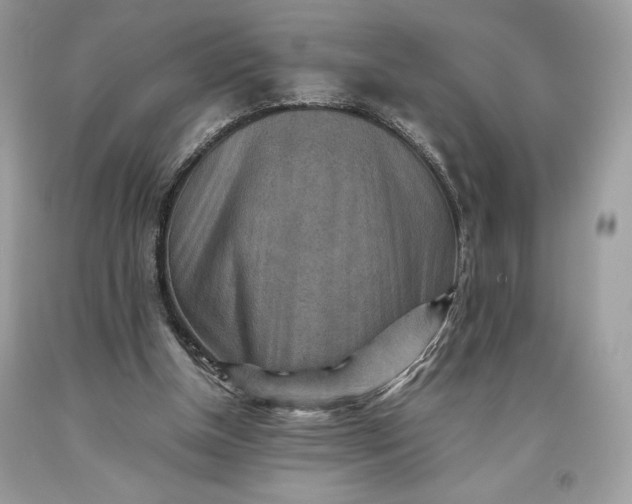 X0000093510154200710261205